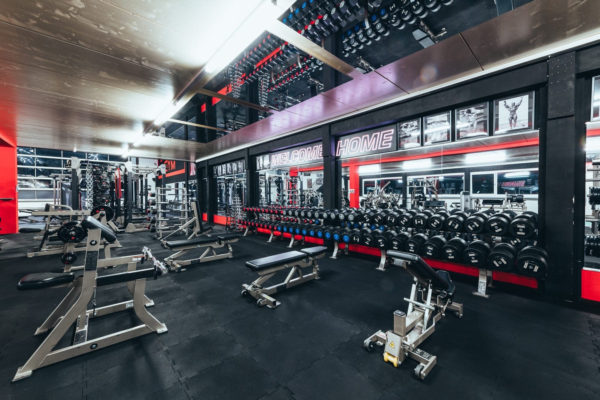 Powerrack Perlen